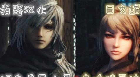 上古卷轴5：天际MOD 【日文配音】高冷精灵妹子+白发臭屁小哥（Alforttes Elves Followers）