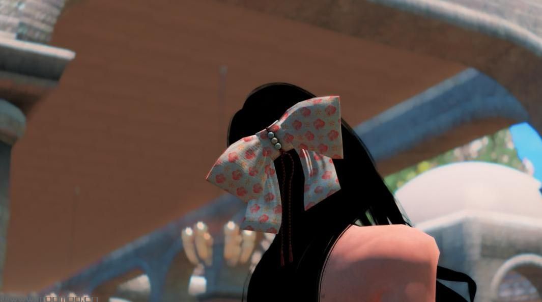 上古卷轴5：重置版MOD Wa Ribbon - 支持SMP