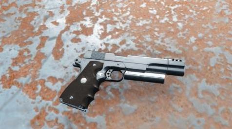 辐射4MOD Colt Delta Elite Reanimated柯尔特三角精英手枪重置