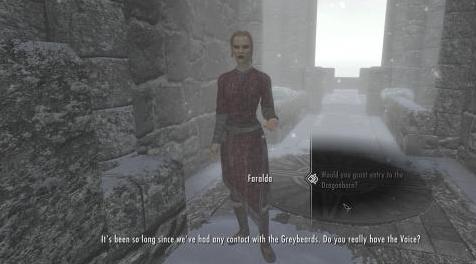 上古卷轴5：重置版MOD Dragonborn去大学