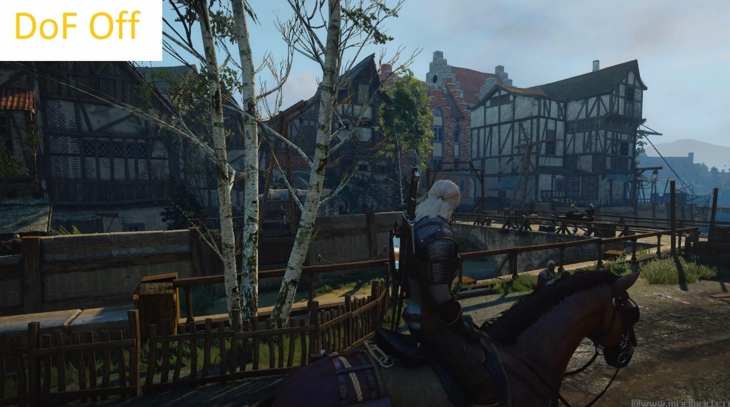 巫师3：狂猎MOD The Witcher 3 景深自由度