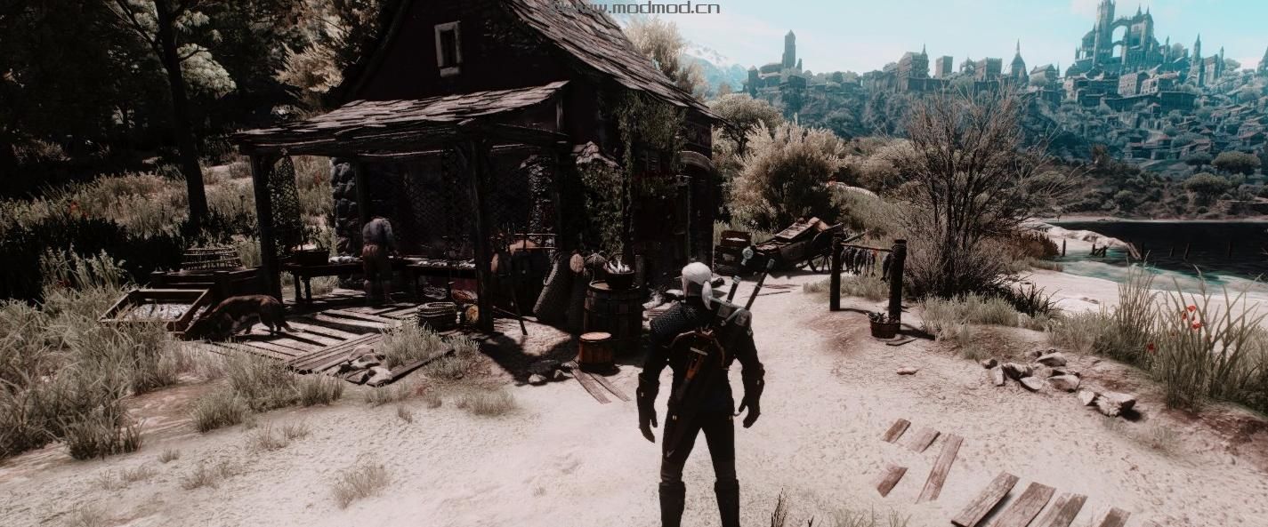 巫师3：狂猎MOD 电影Reshade
