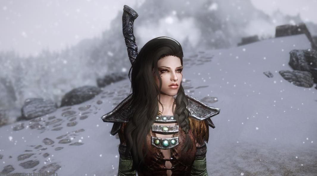 Lyanna Standalone Follower(Lydia替代品选项)
