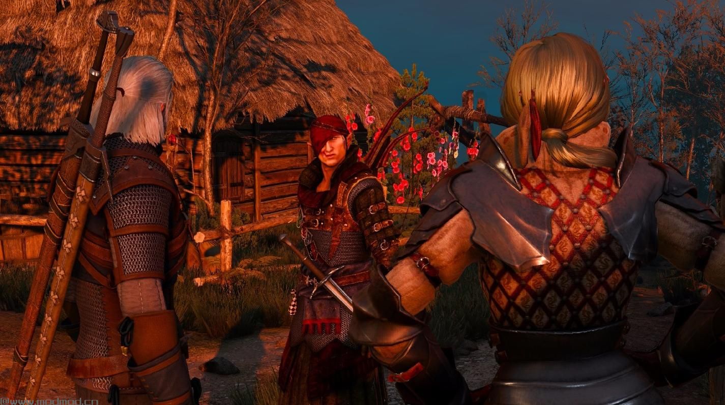 巫师3：狂猎MOD 艾维斯