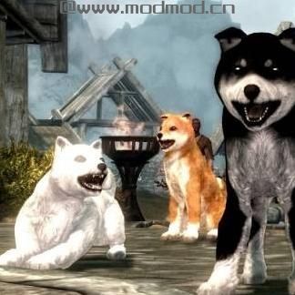 上古卷轴5：重置版MOD 天际宠物王国MOD