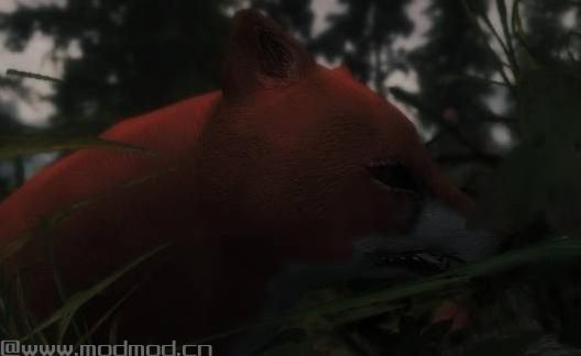 上古卷轴5：重置版MOD 高清狐狸MOD