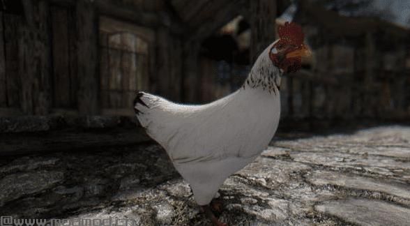 上古卷轴5：重置版MOD 鸡神美化MOD