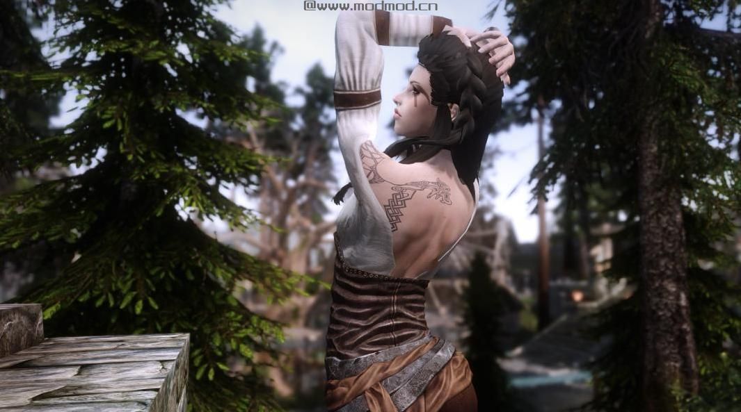 Lyanna Standalone Follower(Lydia替代品选项)