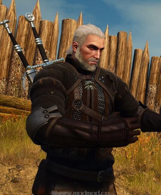 巫师3：狂猎MOD Temerian盔甲新纹理