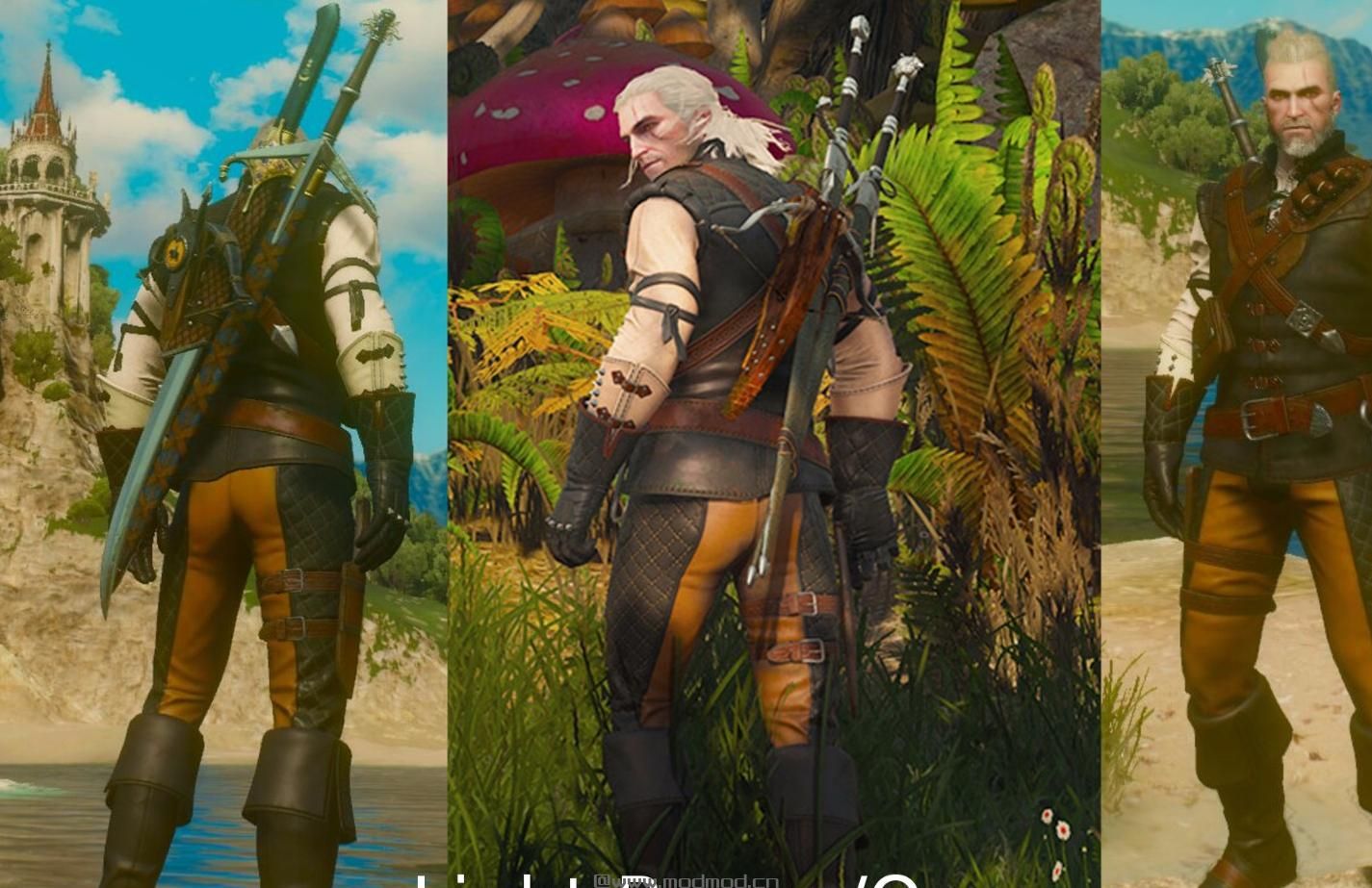 巫师3：狂猎MOD 飞狮套上色