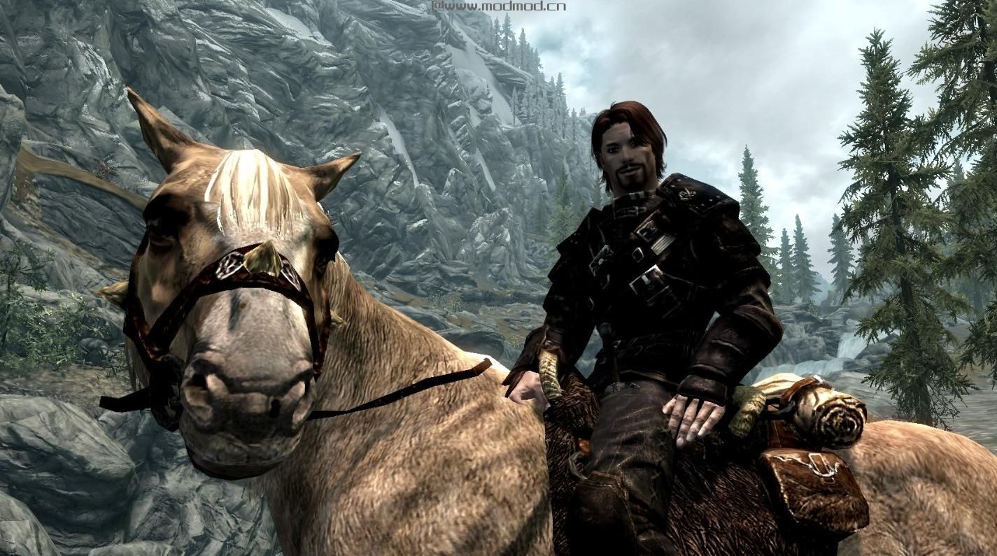 上古卷轴5：重置版MOD Brynjolf和Vex Companions
