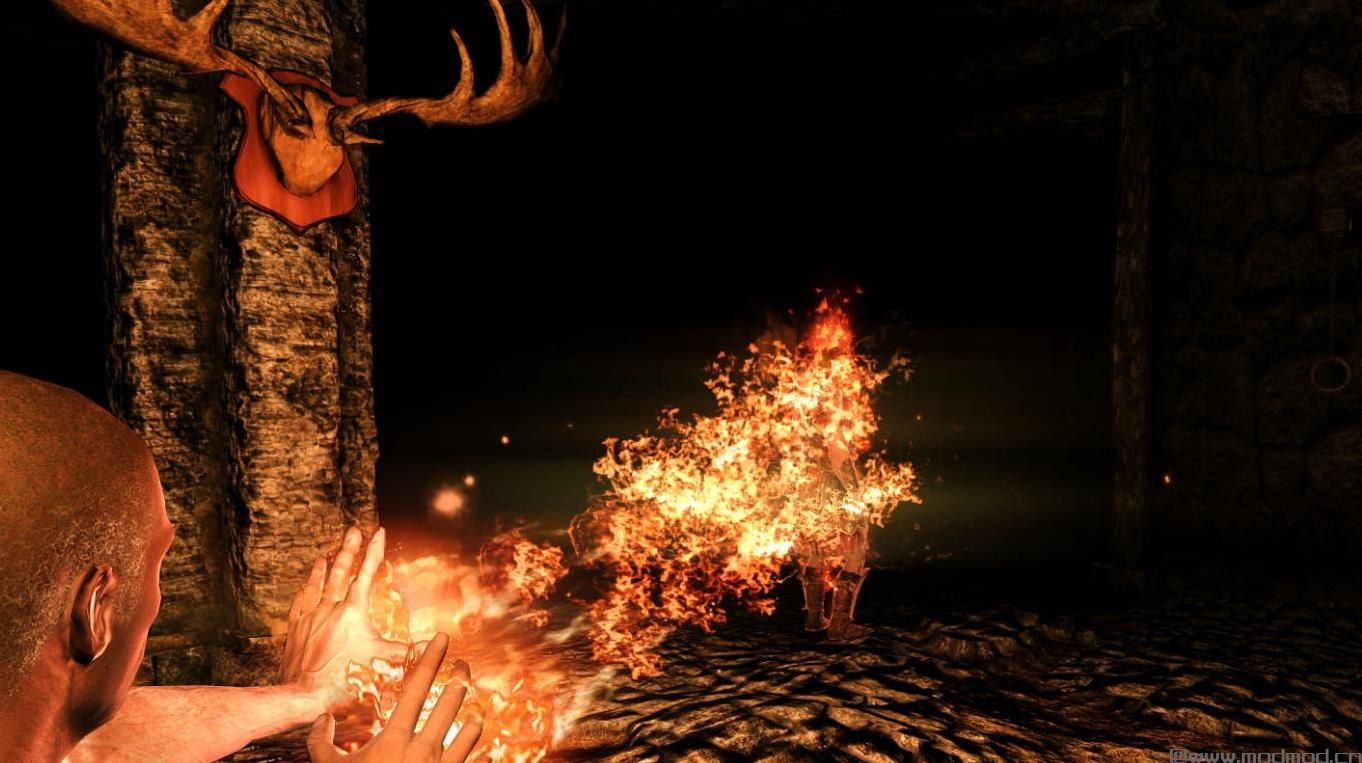 上古卷轴5：重置版MOD 电影火灾效果2 HD-SSE