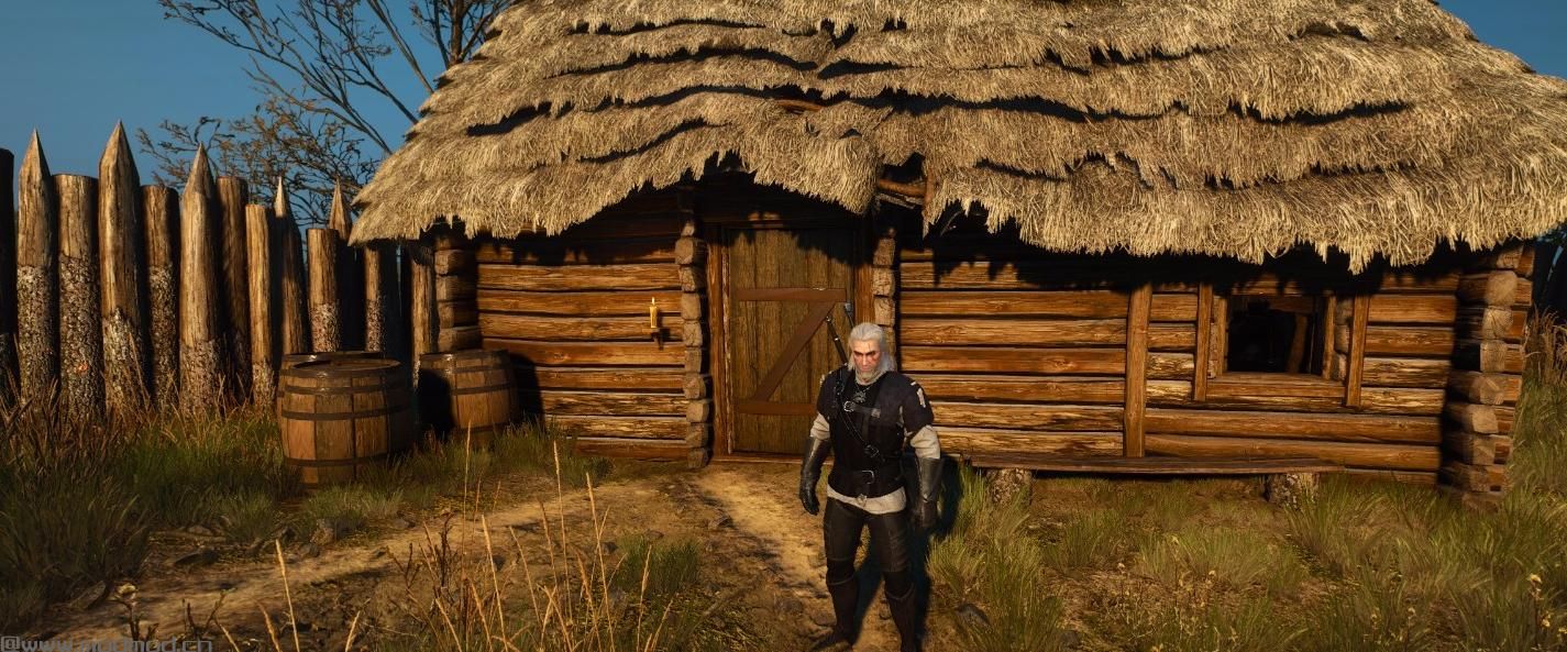 巫师3：狂猎MOD TBOAR-黑色装甲重塑-狮鹫学派