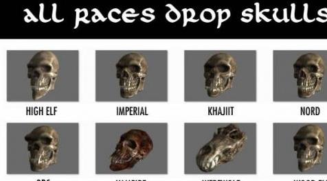 上古卷轴5：天际MOD All Races Drop Skulls 全种族掉落头骨 (ANK名词汉化)