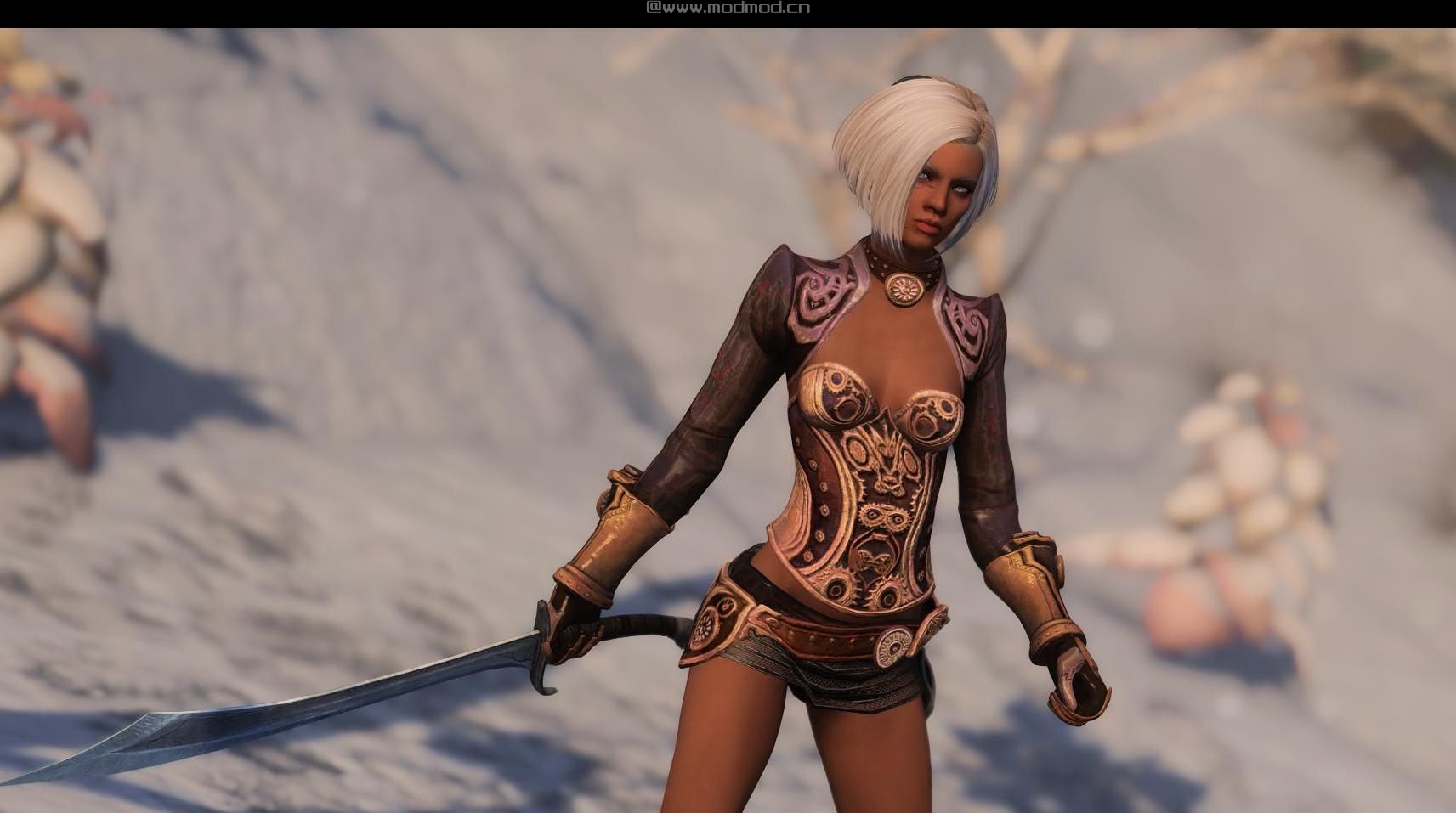 上古卷轴5：重置版MOD Farah Ibn Shaihalud-A Redguard随从