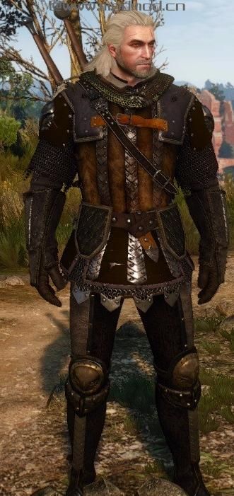 巫师3：狂猎MOD Griffin Slim and Path-Style and T5（狮鹫套瘦身T5版）