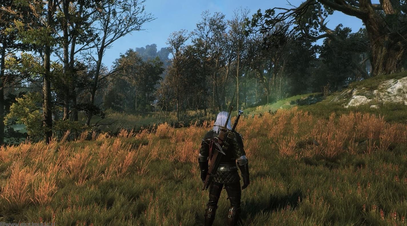 巫师3：狂猎MOD Beat the Wild Hunt V.2.0重生