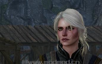 Beautiful Battle-worn Ciri（希里战斗妆）