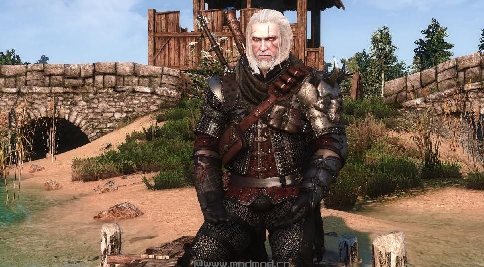 巫师3：狂猎MOD 订制装备等级