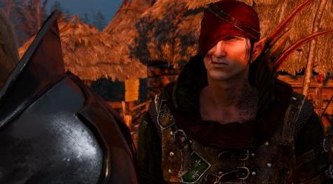 巫师3：狂猎MOD 艾维斯