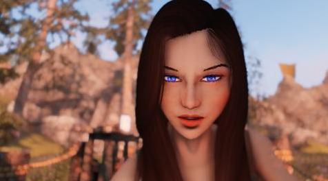 上古卷轴5：重置版MOD 白兰地独立随从