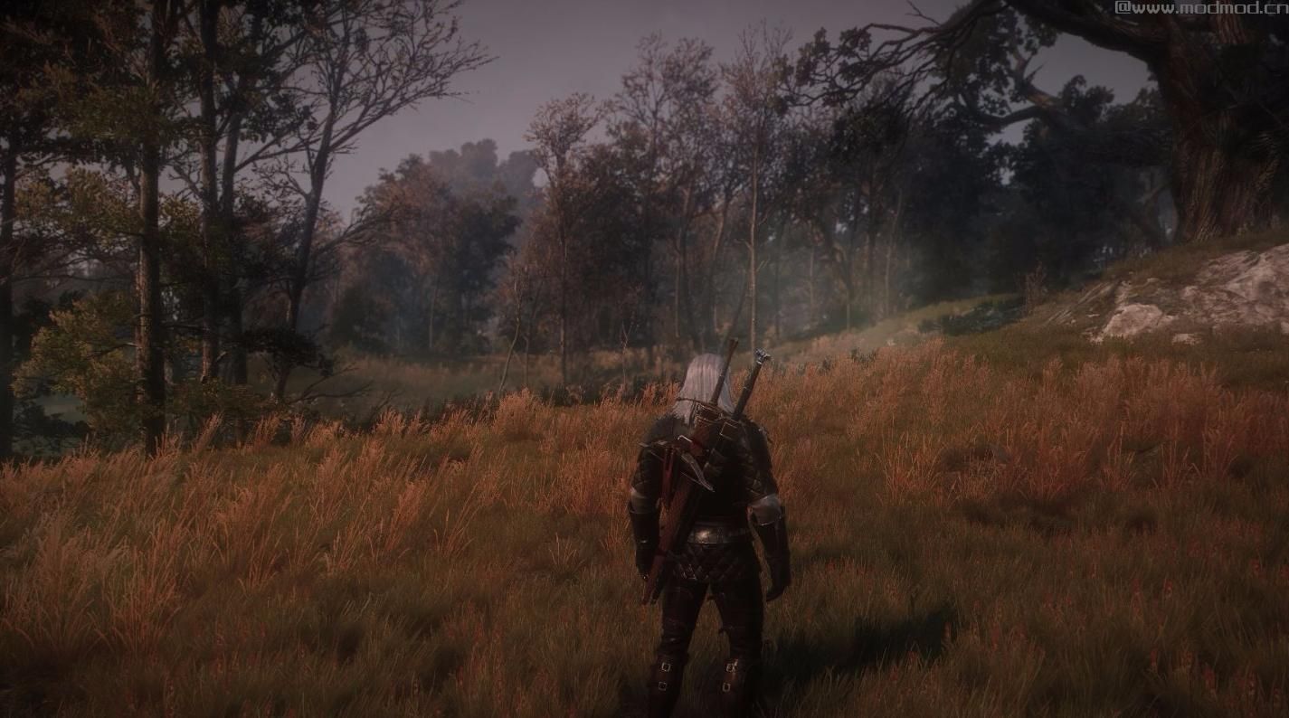 巫师3：狂猎MOD Beat the Wild Hunt V.2.0重生