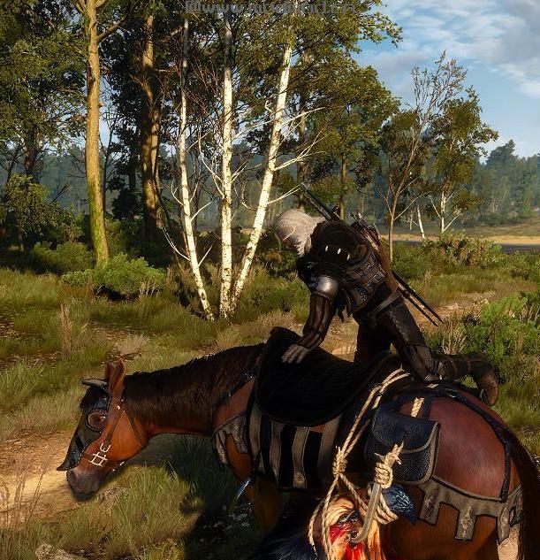 巫师3：狂猎MOD 中世纪雇佣兵团盔甲装备