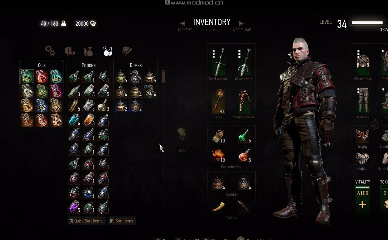 巫师3：狂猎MOD 巫师3主游戏完美存档，为石之心血与酒准备