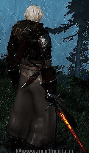 巫师3：狂猎MOD Steel is all you need （钢剑杀怪）