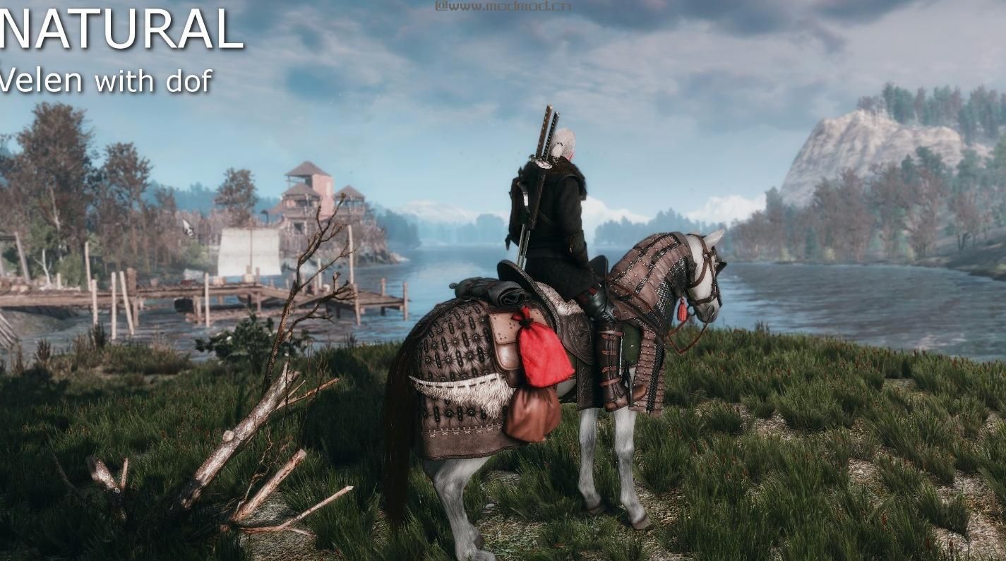 巫师3：狂猎MOD RGS-巫师3版