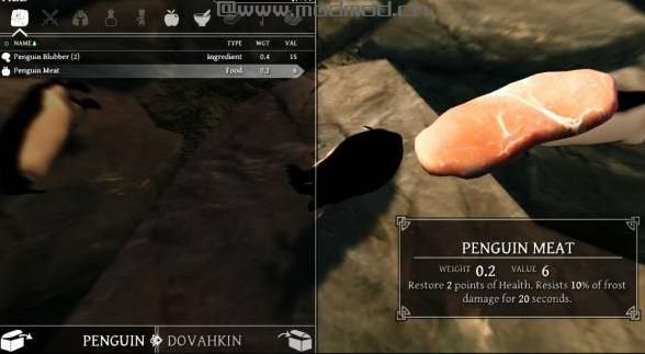 上古卷轴5：重置版MOD 野生企鹅MOD