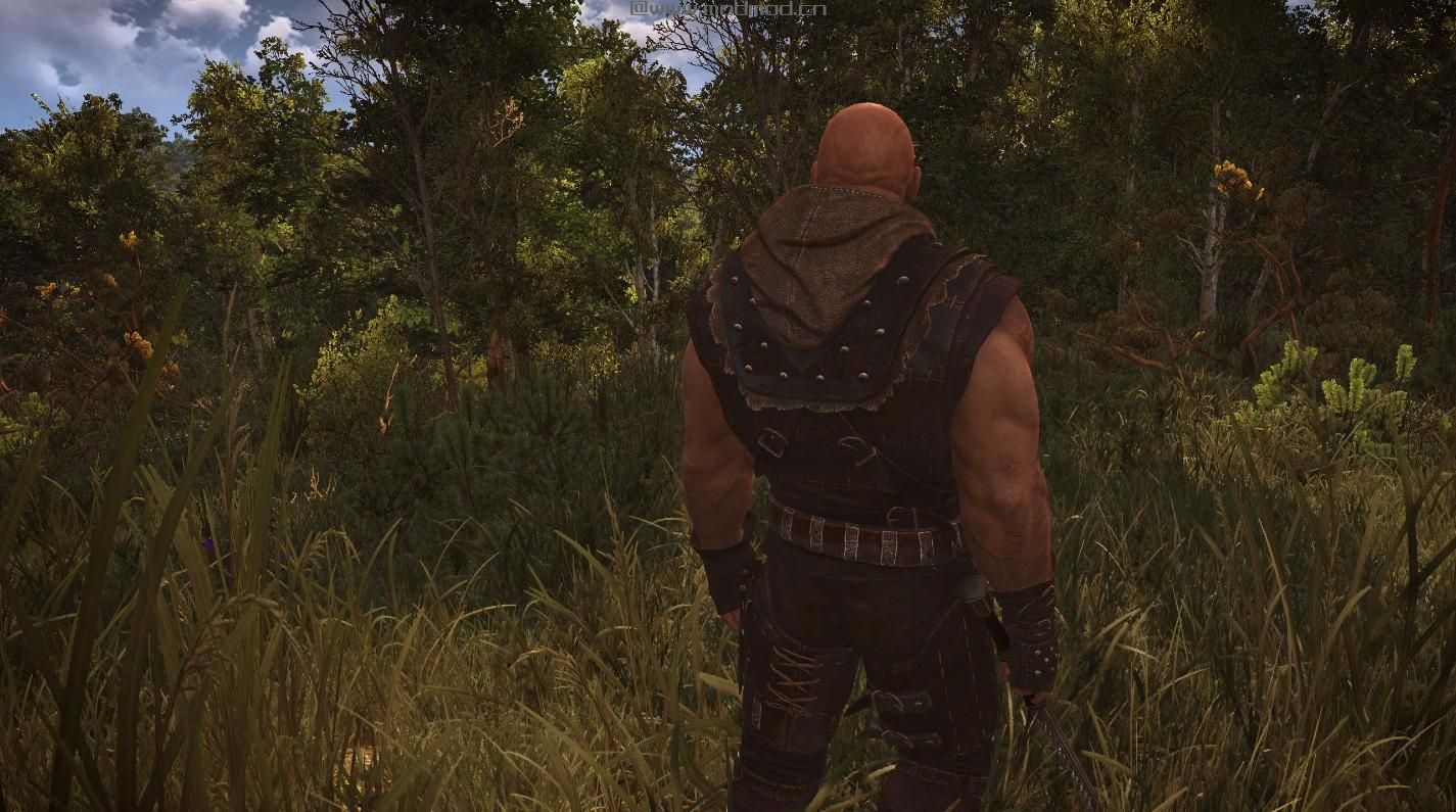 巫师3：狂猎MOD Letho - The Witcher 2（雷托）