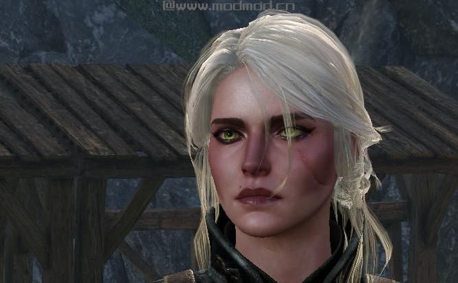 Beautiful Battle-worn Ciri（希里战斗妆）