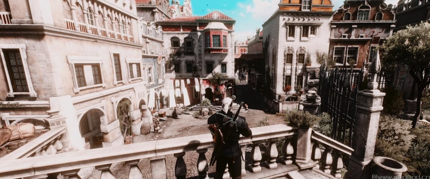 巫师3：狂猎MOD 电影Reshade