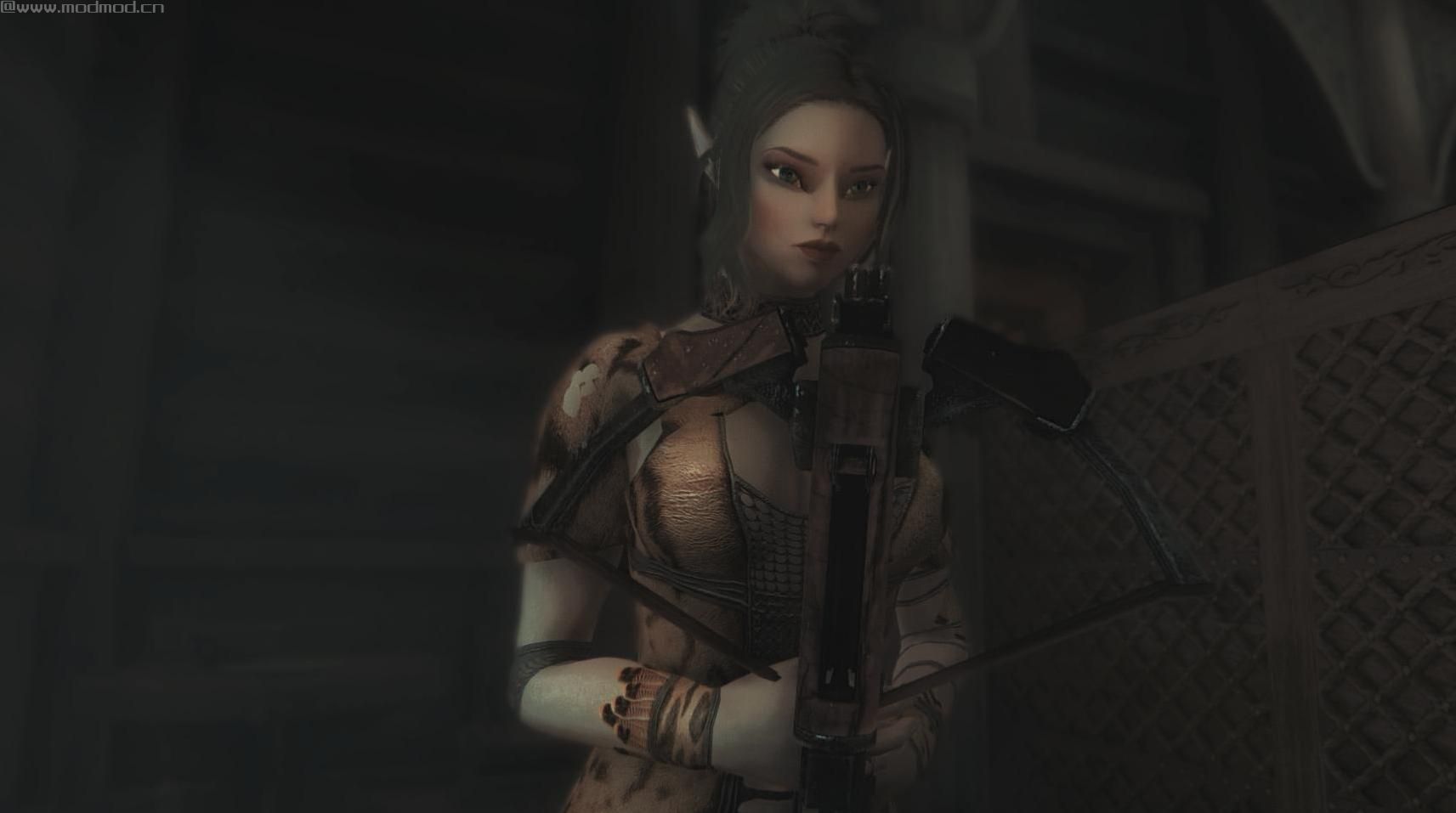 上古卷轴5：重置版MOD Akrossbow米哈伊尔弩SE