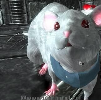 上古卷轴5：重置版MOD 天际宠物王国MOD