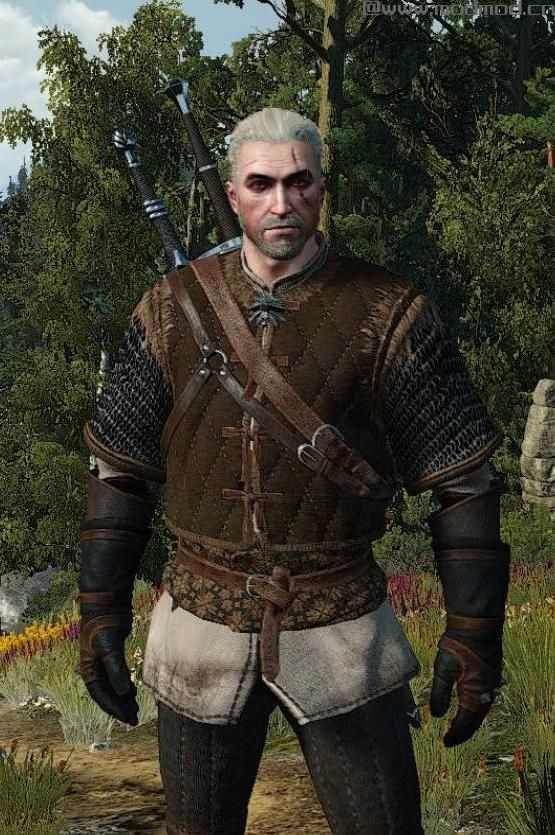巫师3：狂猎MOD Skellige软甲重新处理