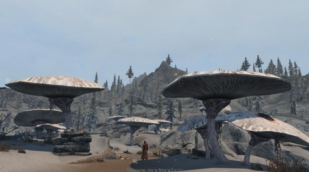 上古卷轴5：重置版MOD 蘑菇树Retexture
