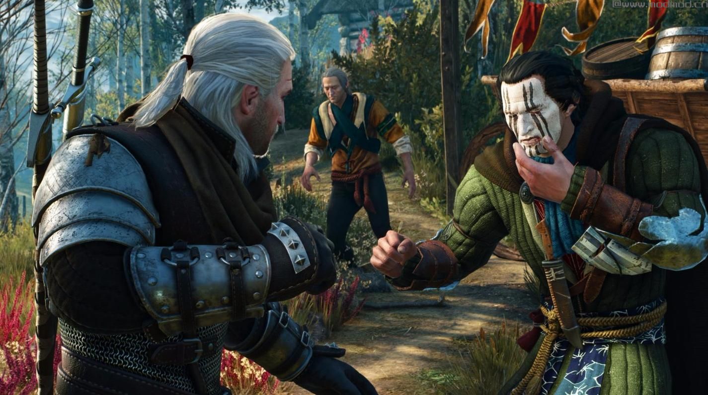 巫师3：狂猎MOD 巫师3HOS和BAW完美存档