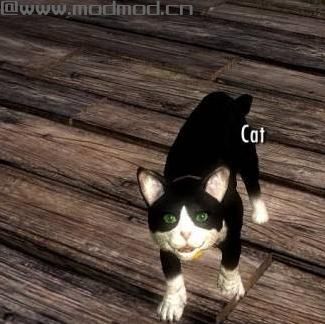 上古卷轴5：重置版MOD 天际宠物王国MOD