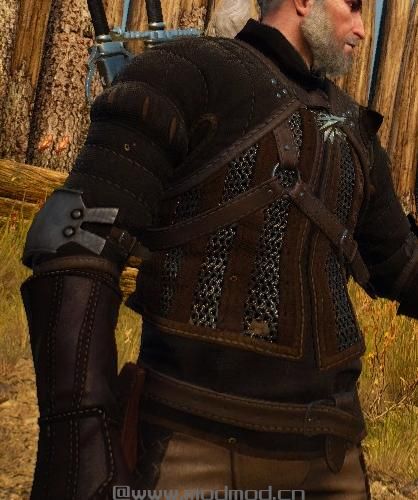 巫师3：狂猎MOD Temerian盔甲新纹理