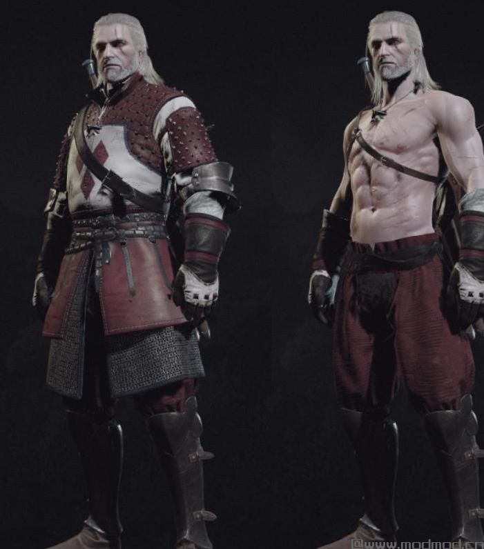 巫师3：狂猎MOD Rivian盔甲