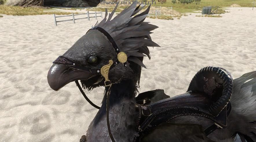 最终幻想15MOD Lucian Black Chocobo