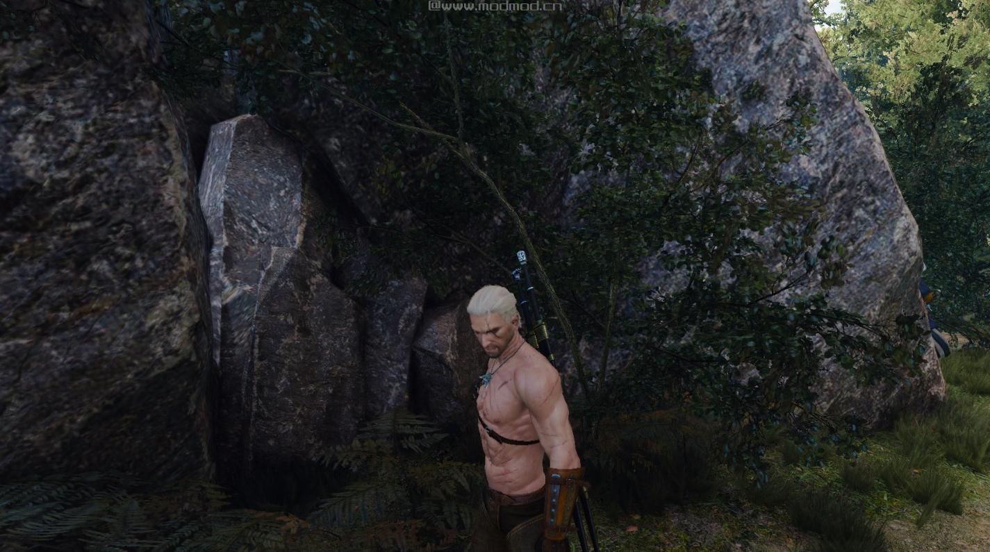 巫师3：狂猎MOD 改变杰洛特身上的伤痕