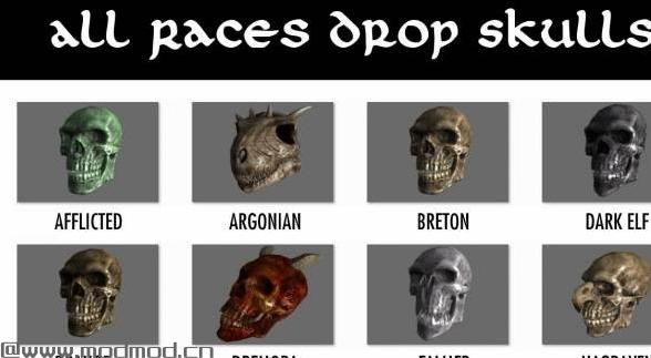 上古卷轴5：天际MOD All Races Drop Skulls 全种族掉落头骨 (ANK名词汉化)