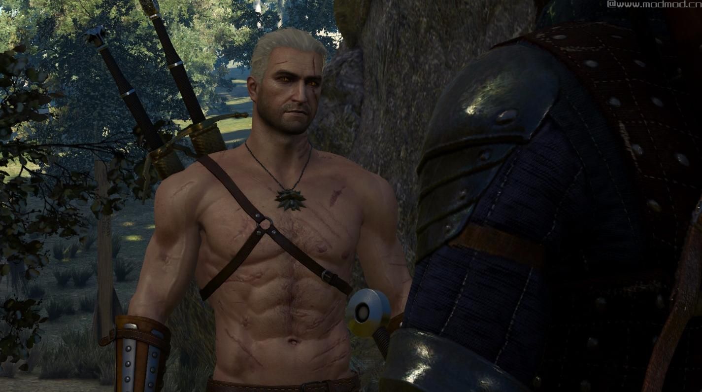 巫师3：狂猎MOD 改变杰洛特身上的伤痕