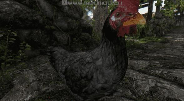 上古卷轴5：重置版MOD 鸡神美化MOD