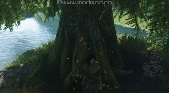 上古卷轴5：重置版MOD 身临其境的蜜蜂MOD