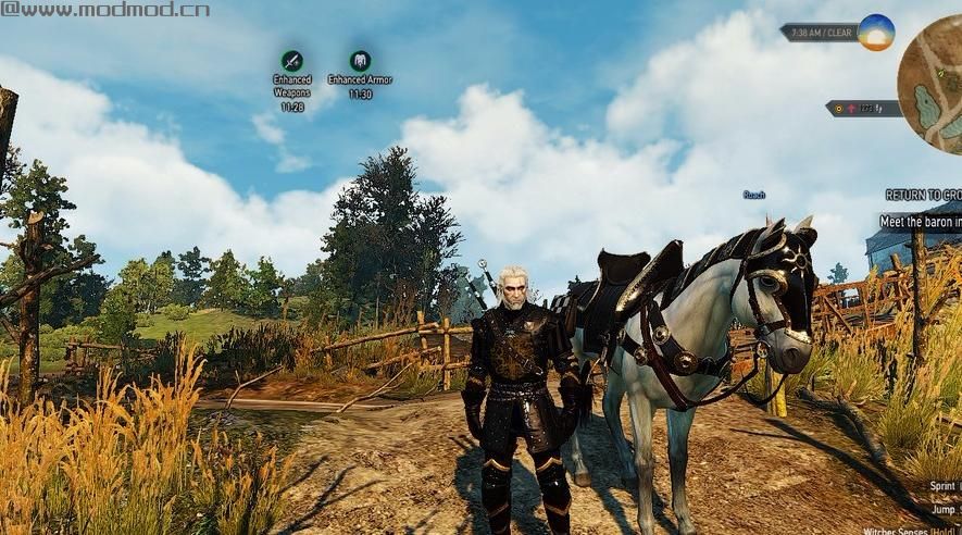 巫师3：狂猎MOD Nilfgaardian盔甲（新月套）