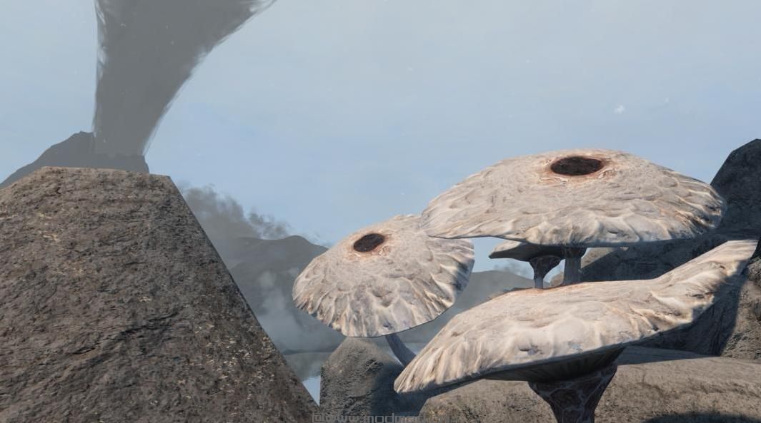 上古卷轴5：重置版MOD 蘑菇树Retexture